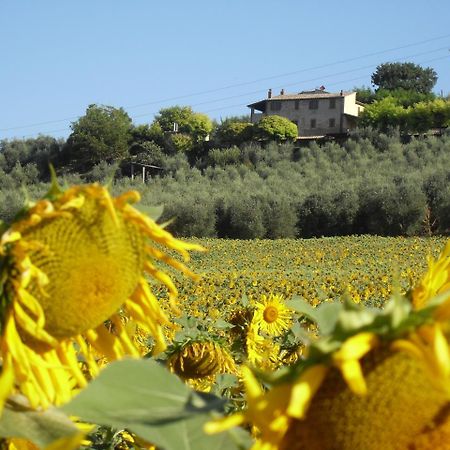 Agriturismo Oliveto Di Geltrude Contessa Amelia Luaran gambar