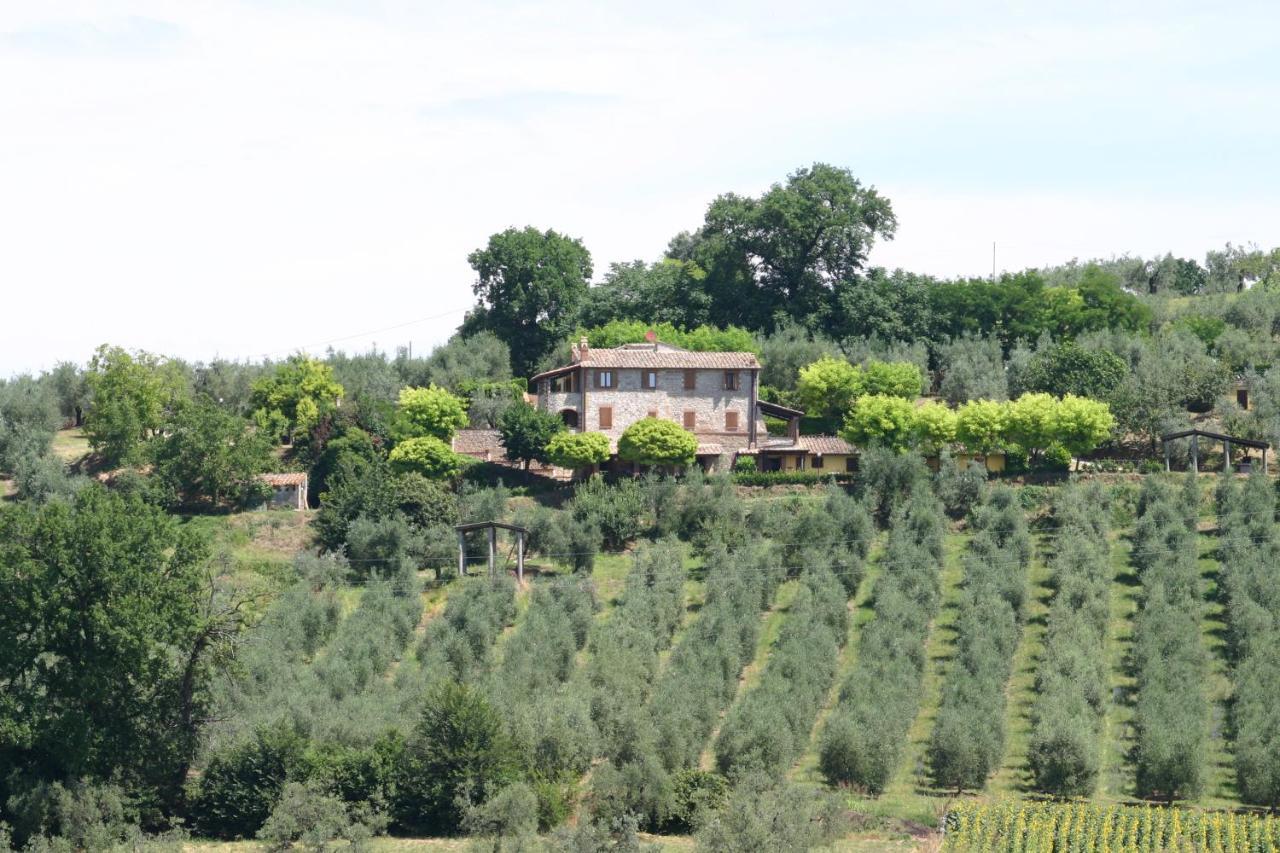 Agriturismo Oliveto Di Geltrude Contessa Amelia Luaran gambar